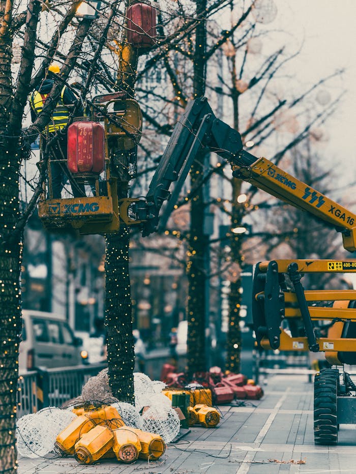 journey Workers in Chengdu, China set up festive street decorations with cranes and lighting on trees.